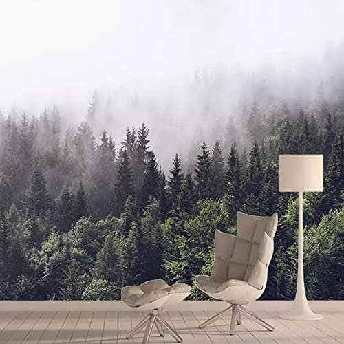 Benutzerdefinierte Fototapete 3D Nebel Wald Landschaft Wandbilder Wohnzimmer TV Sofa Schlafzimmer Abstrakte Kunst Tapete 450cm(W)×300cm(H)
