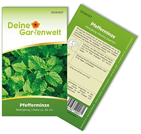 Pfefferminze Mehrjährig Samen - Mentha piperita - Pfefferminzesamen - Kräutersamen - Saatgut für 100 Pflanzen