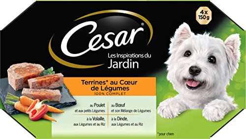 Cesar Repas pour Chien - 24 Barquettes (Lot de 6 Packs de 4x150g) - Pâtée pour Chien en Terrine au Coeur de Légumes - au Boeuf/Poulet/Volaille/Dinde, avec des Ingrédients Naturels