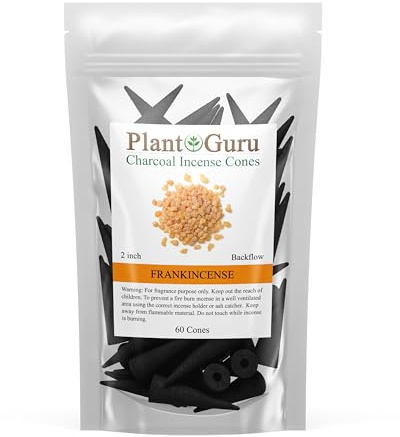 Frankincense Charcoal Incense Cones 2 BACKFLOW - 60 Pack Bulk - Natural Scented Cones Handmade Hand Dipped