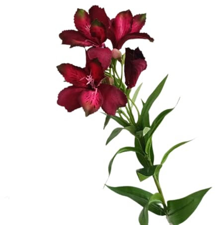 BQEE Konstgjorda peruanska liljeblommor – set med 2, 74 cm (29 tum), siden och plast, bröllopsbuketter hem kontor trädgård fest hotelldekoration (röd)