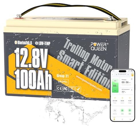 Power Queen 12 V 100 Ah Bluetooth Batteria LiFePO4 con 100 A BMS, bassa autoscarica, Low-Temp Auto Cut Off App Control Batteria al litio per sistema solare domestico, Campeggio, Caravan, Barca