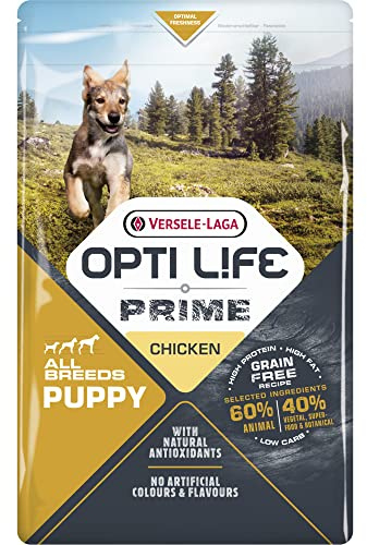 VERSELE-LAGA - Opti Life Prime Puppy - Poulet - Croquettes pour Chiots Toutes Races - sans Céréales - 2,5kg
