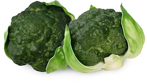 Namzi Juego de verduras artificiales realistas de espuma decorativas realistas para el hogar, cocina, juego de decoración para fotos (brócoli, 2 piezas)
