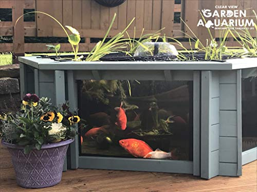 Lily Clear View Garden Aquarium Seagrass Green - Estanque hexagonal elevado