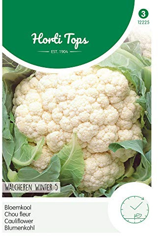 Hortitops 12225 Chou-fleur Walcheren Winter 5 (graines de chou-fleur)
