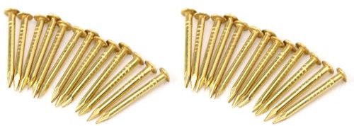 200 Clavos de Hardware Pequeños, Clavo de Cabeza Redonda, Clavo de Acabado Común, Clavo de Latón, Clavos en Miniatura, Bisagras para Muebles, Accesorios de Hardware para Bisagras