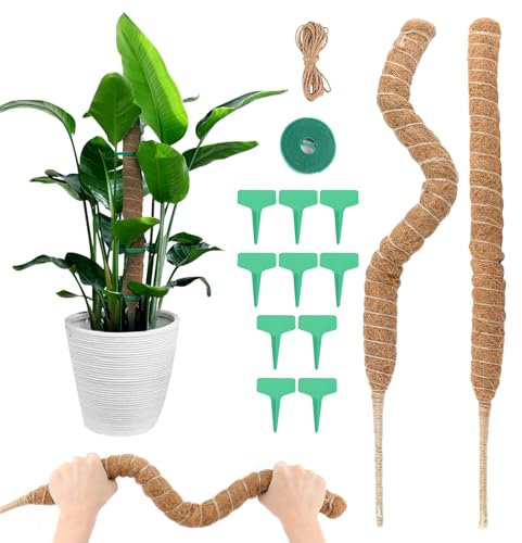 VFANDV Tuteur Monstera, 2pcs 70cm Tuteur Plante Grimpante avec Accessoires Pliable Support de Plante Tuteur de Coco, Support pour Plante Grimpante pour Plantes de Jardin et Pots