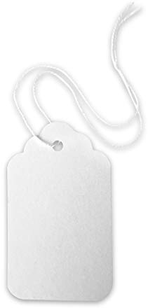 BT-Label 300 hängetiketter 24 x 16 mm prisskyltar med tråd av kraftpapper, vit, prisskyltar att beskriva för loppmarknad, smycken, presentetiketter