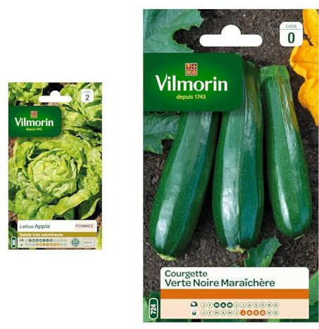 Vilmorin 3600142 Pack de Graines Laitue Pommée Appia & 3484440 Courgette, Vert, 90 x 2 x 160 cm