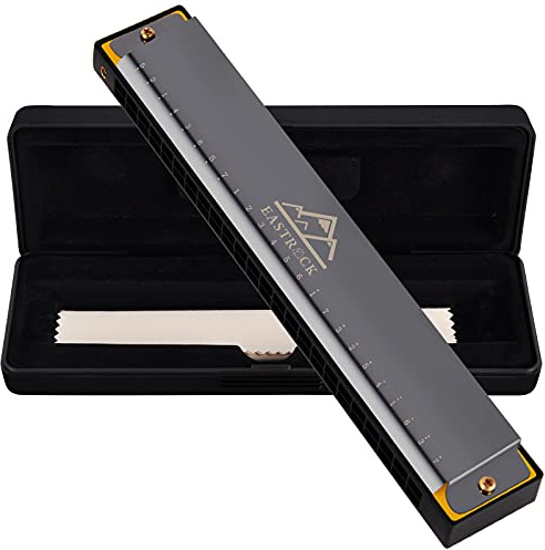 EASTROCK Blues Harmonica à 24 trous, Harmonica diatonique avec boîte pour adultes, débutants, professionnels et étudiants (noir)..