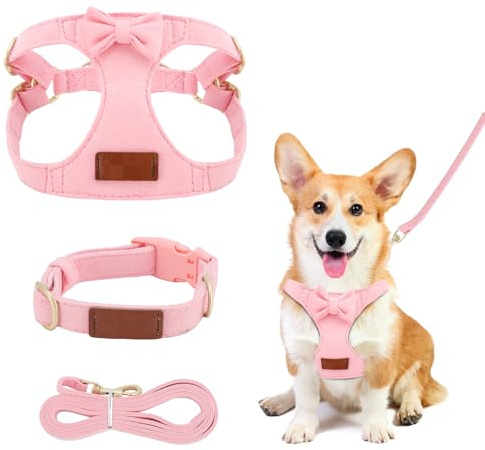 Harnais réglable pour chien avec laisse, harnais de poitrine pour petit chien avec nœud papillon, harnais pour petits chiens, chats et petits animaux (XXS)