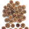 32pz Decorazioni Natalizie Pigne di Pino Naturale 3-4 cm Mini Pigne Natalizie Decorazione Pigne Adatte per Alberi di Natale Fai da te Artigianato in Resina Decorazione per Casa