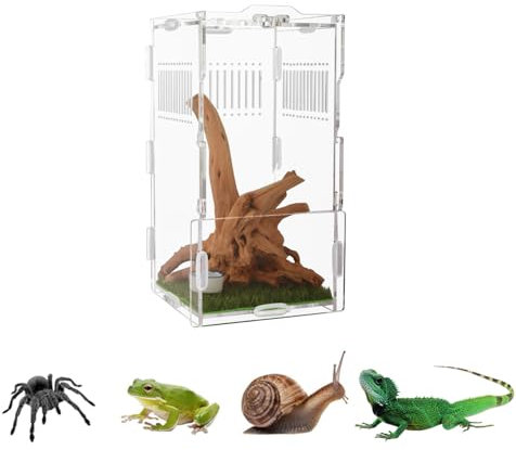 Accessori per recinzione ragno saltante, habitat ragno saltante, recinto per terrario micro habitat per piccoli alberi, rettili, anfibi, ragni e altri invertebrati, recinzione per tarantole