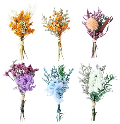 YUVKIN 6 Mazzi di Fiori Secchi Naturali Decorativi Fiori Pressati Secchi Naturali Fiori Secchi per il fai da te per Arte Artigianale Candela Scrapbooking Stile Casuale