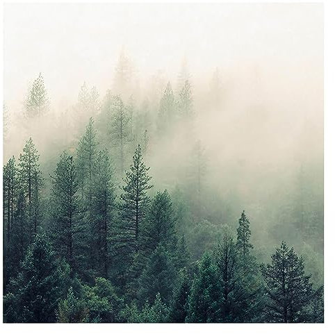 Bilderwelten Fototapete Wald 240 x 240 cm Vlies-Tapete XXL Waldtapete Wald Nebel Erwachen Smart Wandtapete Wanddekoration Wohnzimmer Schlafzimmer