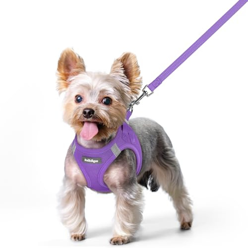 rabbitgoo Pettorina Cane Taglia Piccola con Guinzaglio Riflettente, Imbracatura per Cani Regolabile, Morbida Traspirante, Fcile da Indossare, Pettorina per Cani Piccoli Cuccioli Gatti, Viola XS