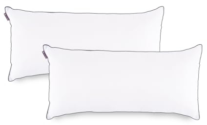 KALIOPE Kopfkissen mit Reißverschluss 40 x 80 cm 2er Set - Allergiker Schlafkissen, Höhenverstellbares, Seitenschläferkissen | Schlafkissen | bis 60 Grad Waschbar (40 x 80 cm, 2)