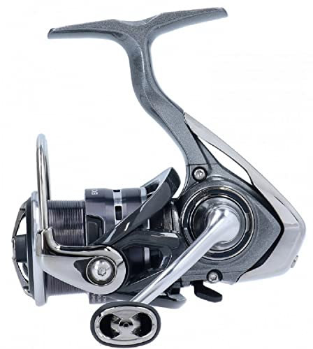 Daiwa Angeln Exceler LT 2000