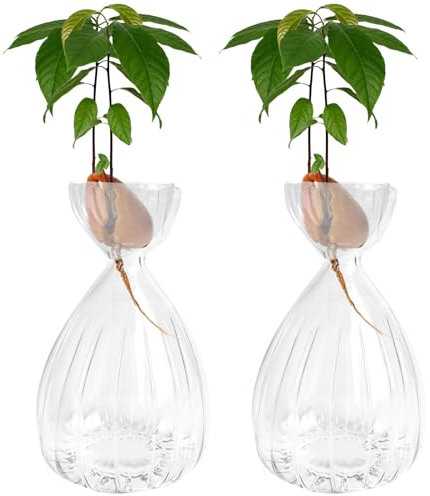 JOJOCY 2Pcs Avocado Seed Sprout Starter Vase, Striped Style Avocado Tree Growing Glass Vases, Glass Bulb Vase for Home Table Desk Indoor Decor (2 Clear)