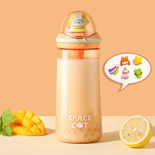 GraSky Cute Orange Protein Shaker Bottle - 20oz, 580ML, Mixing Paddle, Straw, Transparent Cup