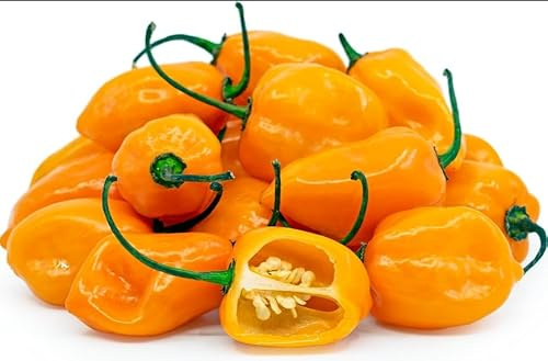 Semi di Peperoncino Habanero Orange dei Caraibi, Piccantezza Medio Alta, 30 Semi
