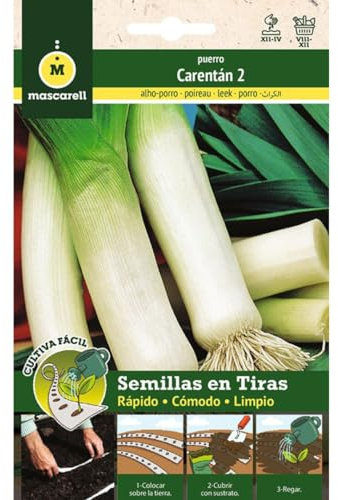 Mascarell Semillas, PUERRO VERDE CARENTAN, Cultiva Fácil, Crea tu Propio Huerto en Casa, Tira 5 Metros