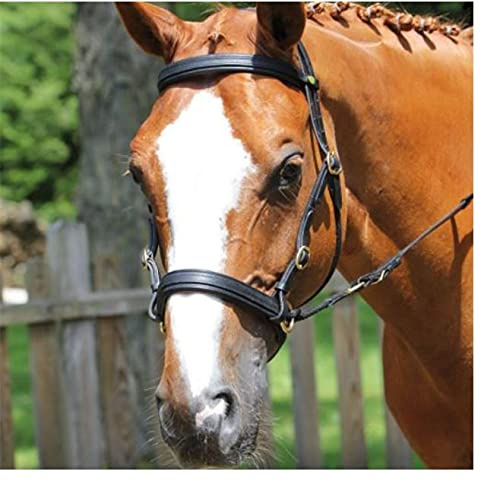Protanner Bitless Horse Riding Bridle (COB, Black)