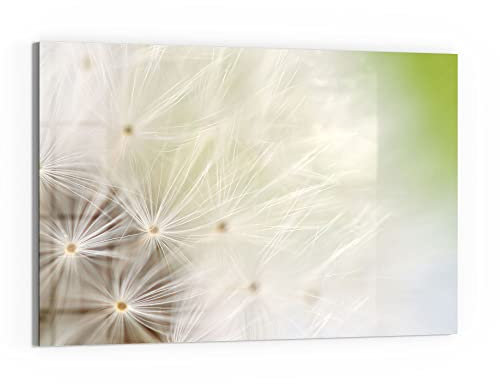 DEQORI Glas-Magnettafel | 90x60 cm groß | Motiv Pusteblume ganz nah | Memo-Board aus Glas | Magnetboard inkl. Magnete, Stift & Tuch für Küche & Büro | Tafel magnetisch & beschreibbar