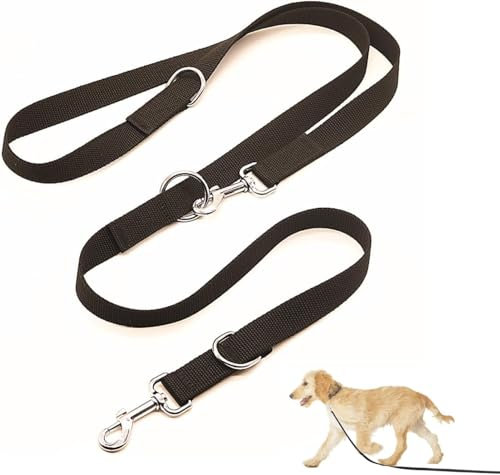 Hundeleine in Schwarz, Stabil Und Verstellbar, Hundeleine, Dog Hundeleine, Hundeleine Anione, Hundeleine Führleine, Für Große Und Kräftige Hunde, Mit Zwei Karabiner, 2,5 X 260 cm