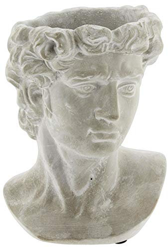 Lucky Winner Greek Statue Head Cement Man Head David Planter (9)