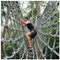 Outdoor-Kinder-Kletternetz, Polyamid, Seil, Frachtnetz, Schaukel, Spielplatz, Baumhaus, Seilnetz, Klettern (200 x 300 cm)