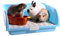 Oncpcare Super große Kaninchentoilette, kleine Tiertoilette, quadratisch, Kaninchentoilette, Meerschweinchentoilette, Haustiertoilette, Chinchilla, Töpfchentrainer (Blau)