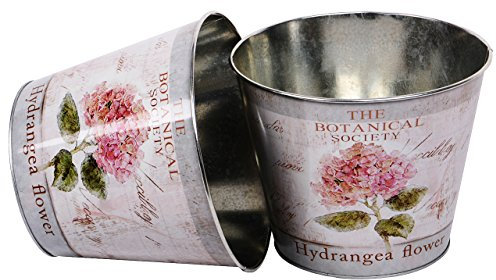 UNUS 2er Set Blumentopf Pflanzentopf Zink Hortensie Übertopf 21cm rosa