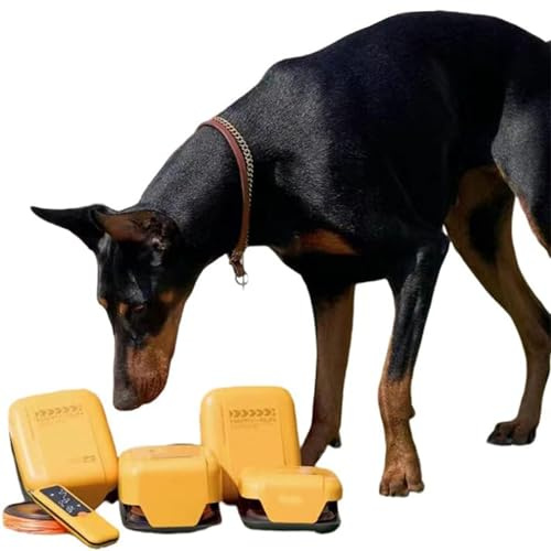 CGLYYDS Jouets Interactifs pour Chiens, Machine De Cours De Leurre pour Chiens, équipement D'entraînement D'agilité pour Chiens pour Jeux De Plein Air Et Exercices Interactifs