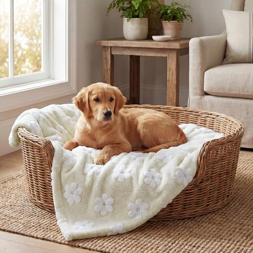 Horaldaily Pets Flannel Blanket, Beige Flowers 3D Textured Soft Fuzzy Fluffy Plush Cozy Fleece Premium Blankets for Dog Cat Puppy Kitten Couch Protection, 20x30