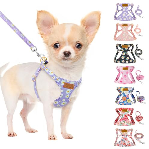 SlowTon Hundegeschirr mit Leine, No-Pull leichtes weiches Wildleder-Welpengeschirr mit Blumenmuster und Schnappschnalle, verstellbares Geschirr Hund für kleine und mittelgroße Hunde(Lila, XS)