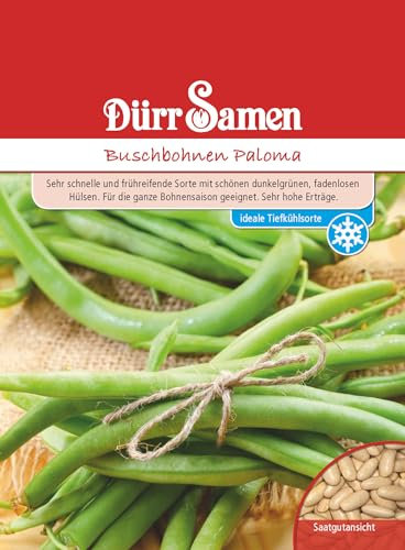 Buschbohnen Samen Paloma Bohnensamen Grüne Bohnen ca 100 Korn Saatgut Gemüse Garten Hochbeet Kübel Dürr Samen