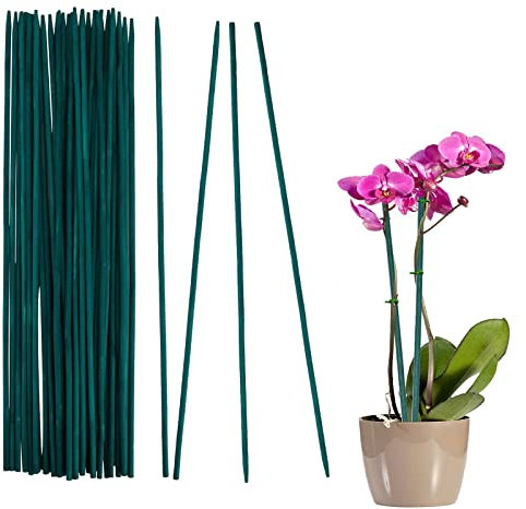 Bastoncini di Supporto per Piante - 30 Pezzi 30 cm Bastoncini da Giardinaggio Resistenti alle Intemperie Paletto di Piante Verdi per Fiori Piselli Verdure