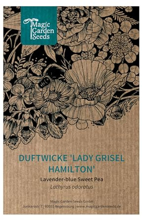 Magic Garden Seeds - Duftwicke 'Lady Grisel Hamilton' Samen (Lathyrus odoratus) - lavendelblaue Blüten, intensiv duftend, schnittgeeignet - einjährige Kletterpflanze, Cool Flower, bis 150 cm hoch