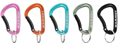 Mammut Mammut Mini Carabiner Classic Keylock S Größe 6 cm Assorted
