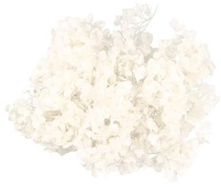 GALPADA Pétalos De Flor Seca Hortensia Preservada 20 g, Ingredientes Naturales, para Decoración DIY, Uñas y Eventos, Suministros para Manualidades y Fiestas