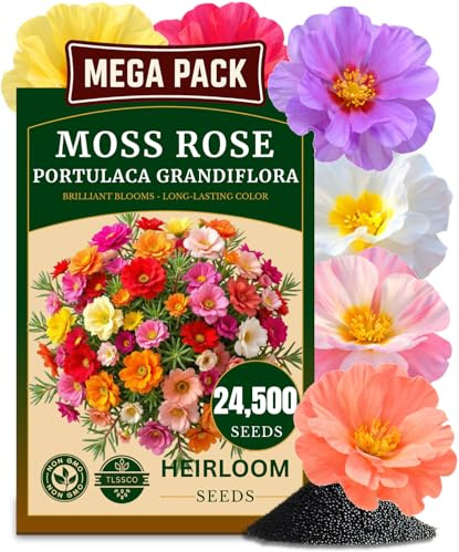 TLSSCO 24500+ Moss Rose Seeds for Planting, Pack for 2027 USA Premium Non-GMO Flower Seeds Annual Flower for Ground Cover - Heat & Drought Tolerant Moss-Rose Purslane, Eleven O'clock