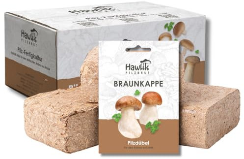 Hawlik Pilzbrut Kit de culture de champignons pour le jardin - Kit de parterre de champignons - Culture facile des champignons dans le jardin - Idéal pour les débutants et pour offrir - Paria de