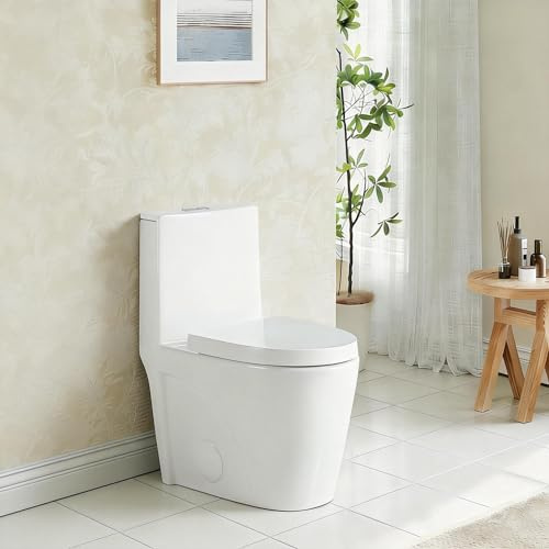 Abruzzo Modern One Piece Toilet, Elongated Dual Flush, Comfort Height