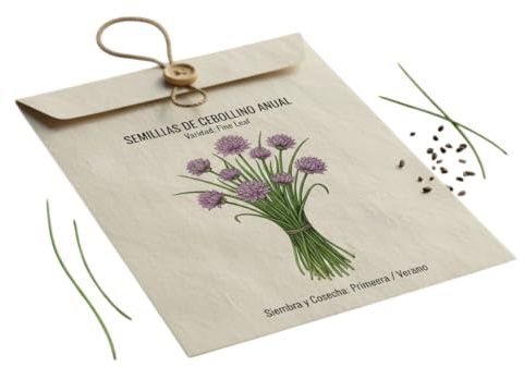 Huerto Urbano Gourmet – Semillas de Cebollino Fresco DECOALIVE