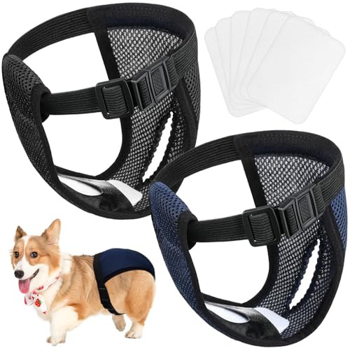 Lot de 2 couches réutilisables pour chien avec 6 coussinets hygiéniques réglables pour chiennes femelles en cas de saignement mensuel réutilisable lavable (taille M)