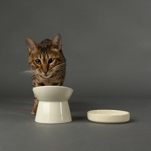 Scruffs Icon Stoneware/Ceramic Raised Cat Feeder Bowl & Saucer Set - Cream