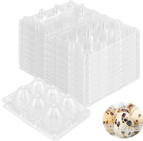 NAMYEUT Lot de 50 boîtes à œufs de caille en plastique avec 6 grilles boite à 6 oeufs en plastique PVC - Boîtes à œufs transparentes avec couvercle pour œufs de caille