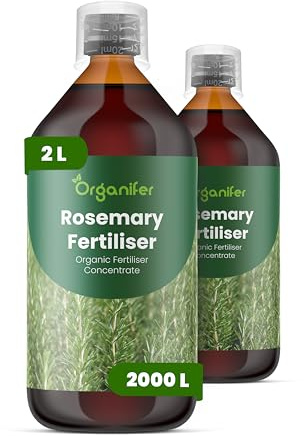 Fertilizzante Liquido Per Rosmarino 2L – Concime Organico Per Crescita Rigogliosa E Foglie Aromatiche – Rafforza Radici E Vitalità – Organifer